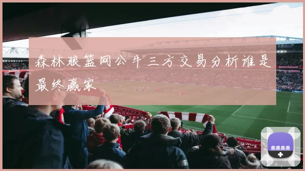 森林狼篮网公牛三方交易分析谁是最终赢家